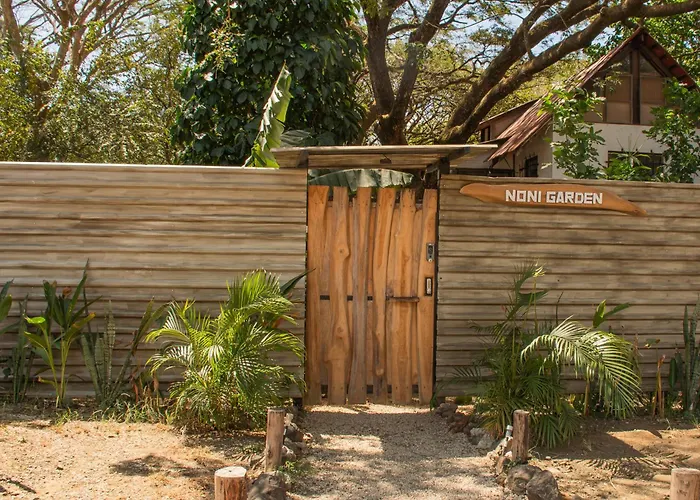 Noni Garden #5 *